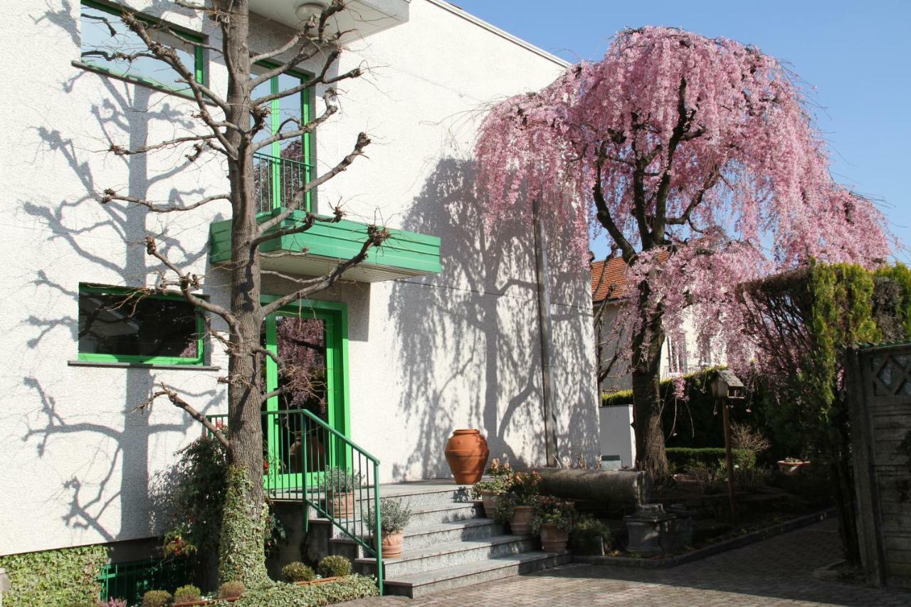 Albergo Nardini Lentate sul Seveso Bagian luar foto
